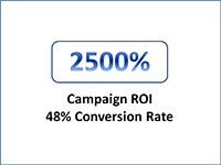 2500-Campaign-ROI.png